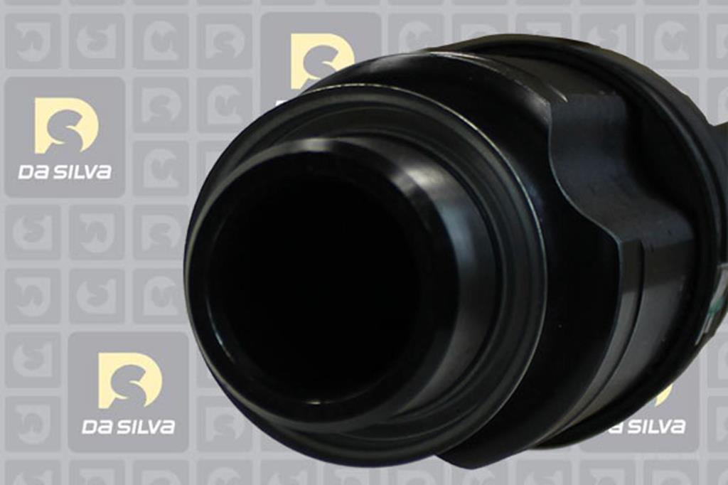 Cardã DA SILVA S.A.S. 98262T