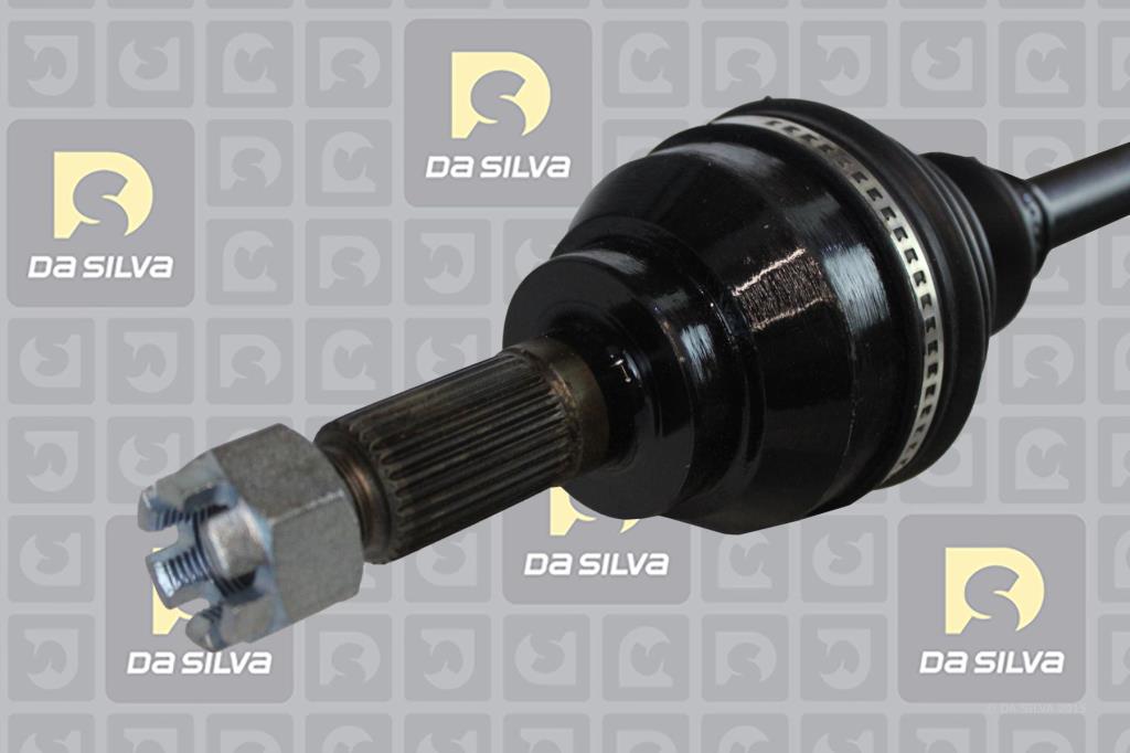 Cardan DA SILVA S.A.S. 98273T