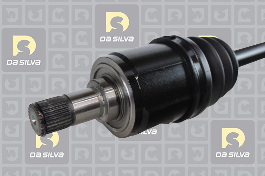 Cardan DA SILVA S.A.S. 98287T