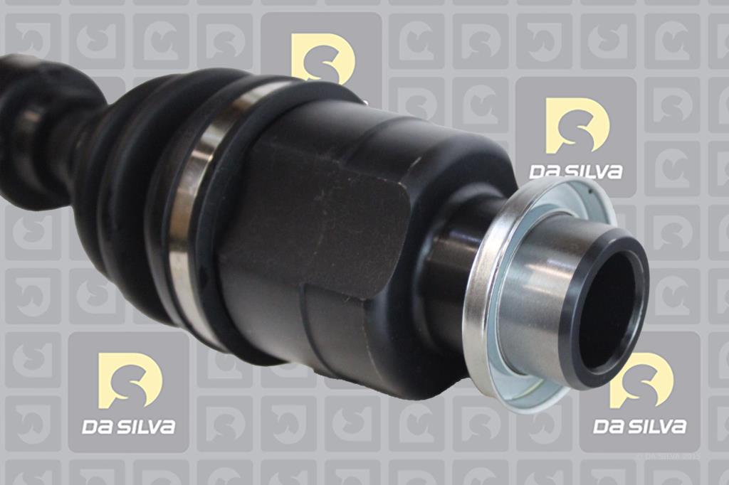 Cardã DA SILVA S.A.S. 98295T
