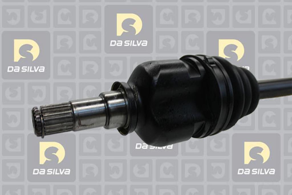 Cardan DA SILVA S.A.S. 99001T