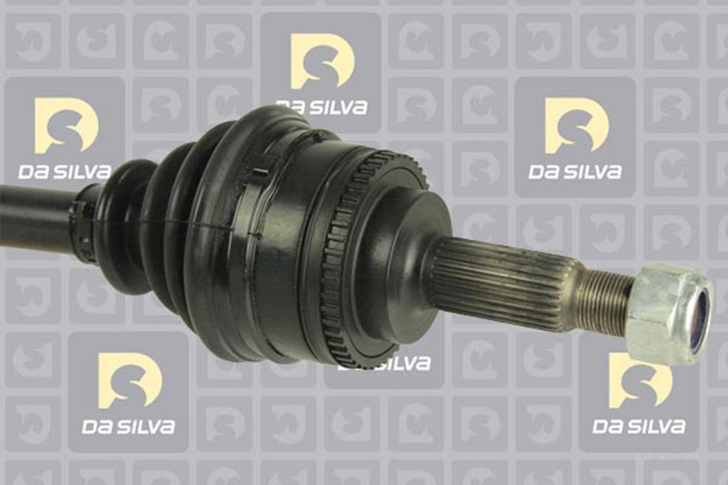 Cardan DA SILVA S.A.S. 99004AT