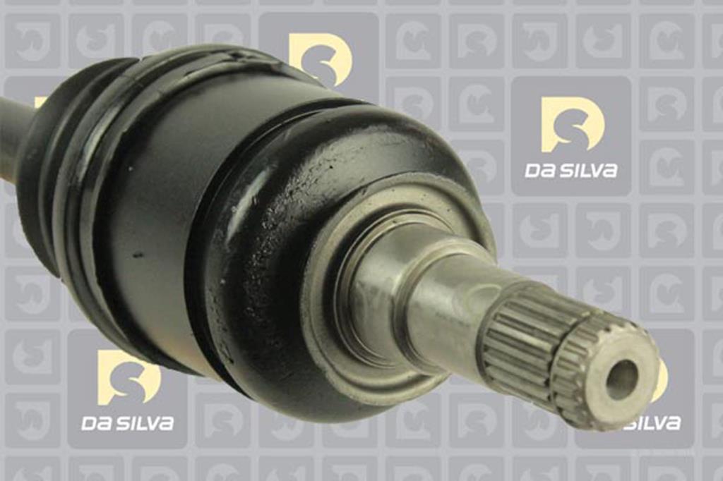 Cardan DA SILVA S.A.S. 99004T