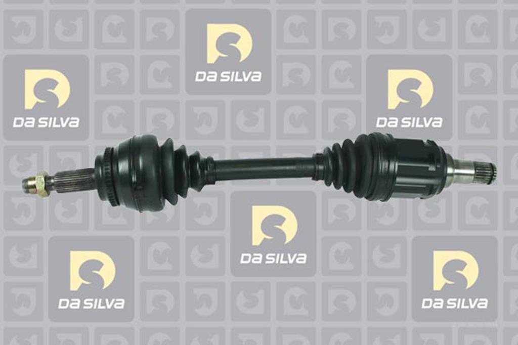 Cardan DA SILVA S.A.S. 99013AT