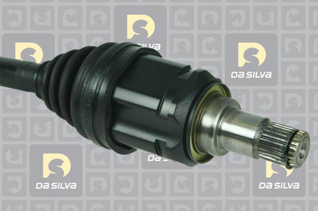 Cardan DA SILVA S.A.S. 99013AT