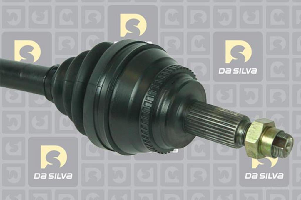 Cardan DA SILVA S.A.S. 99013AT