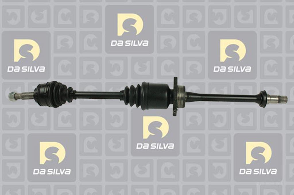 Cardan DA SILVA S.A.S. 99021AT