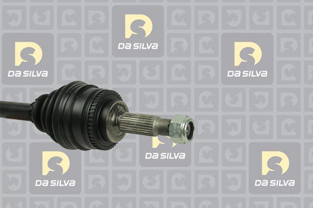 Cardan DA SILVA S.A.S. 99021AT