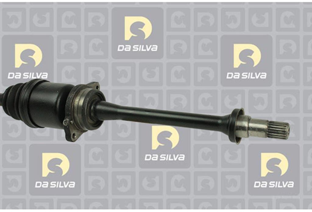Cardan DA SILVA S.A.S. 99021AT