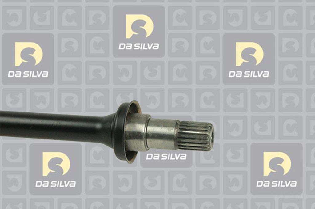 Cardan DA SILVA S.A.S. 99021AT