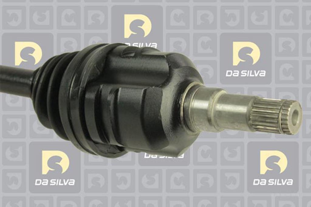 Cardan DA SILVA S.A.S. 99022T