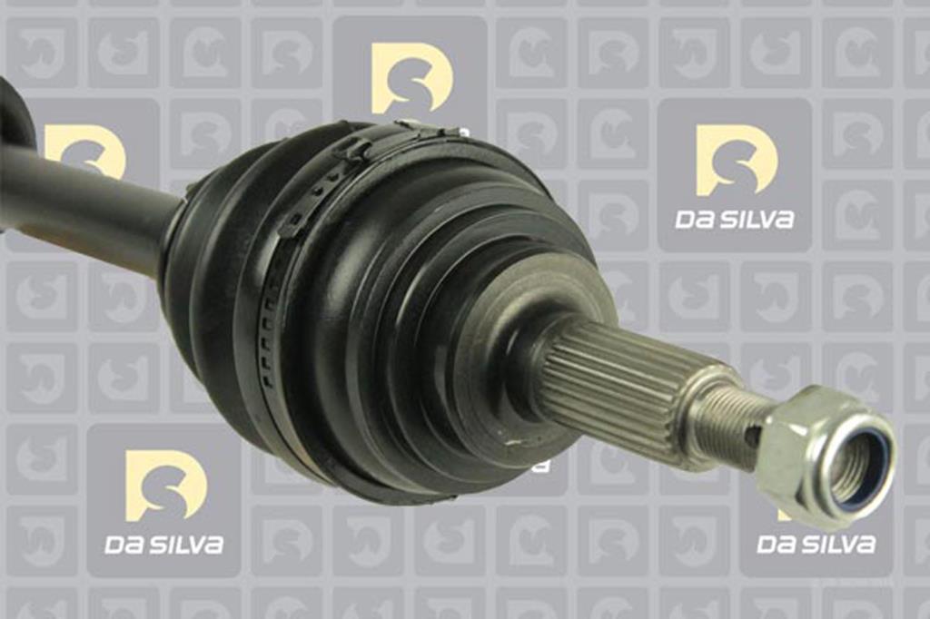 Cardan DA SILVA S.A.S. 99022T