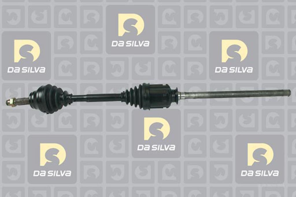 Cardan DA SILVA S.A.S. 99025T