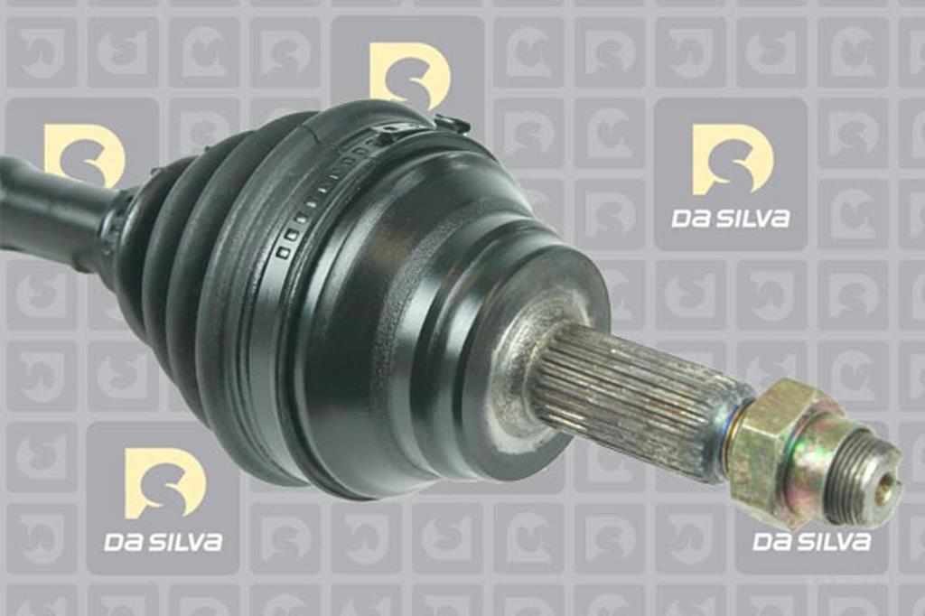 Cardan DA SILVA S.A.S. 99025T