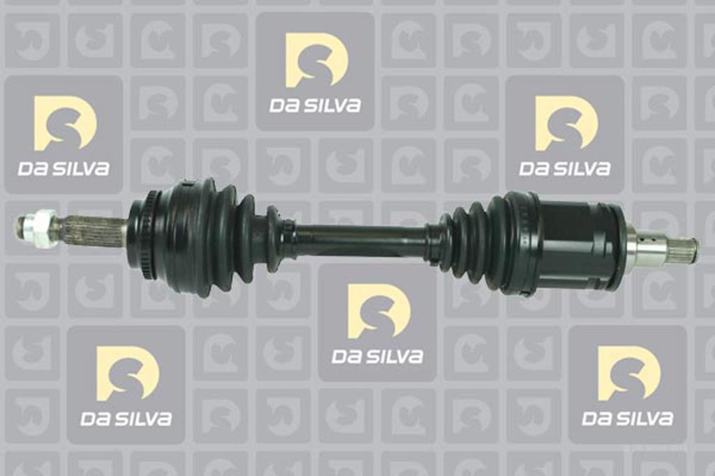Cardã DA SILVA S.A.S. 99026AT