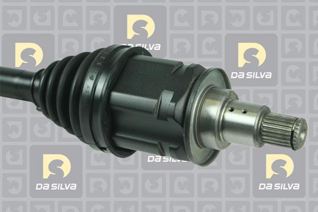 Cardã DA SILVA S.A.S. 99026AT