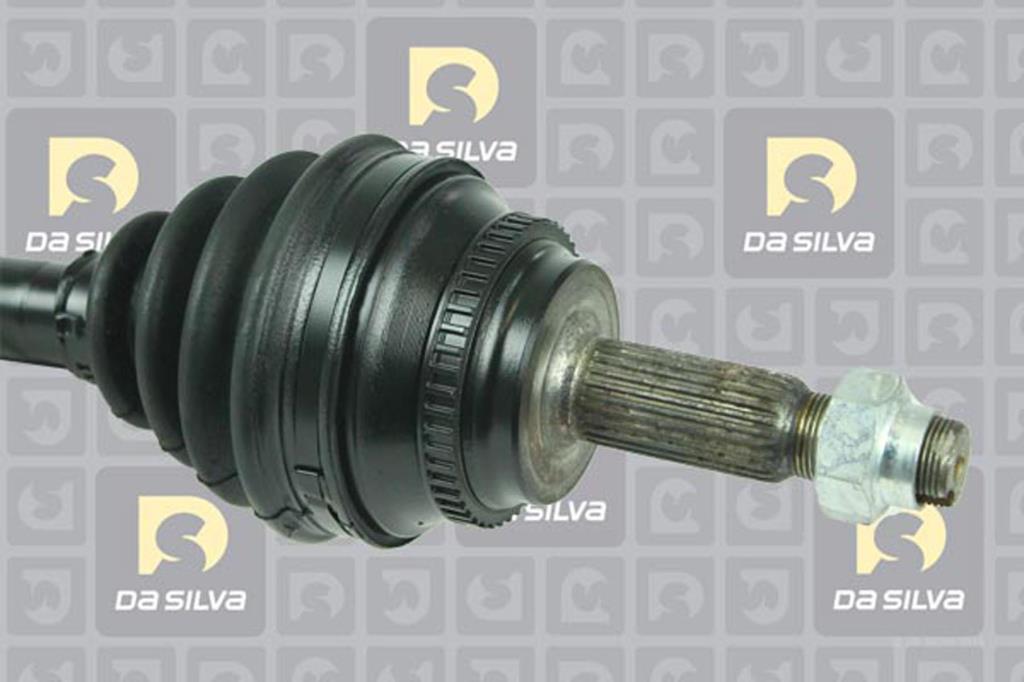 Cardã DA SILVA S.A.S. 99026AT