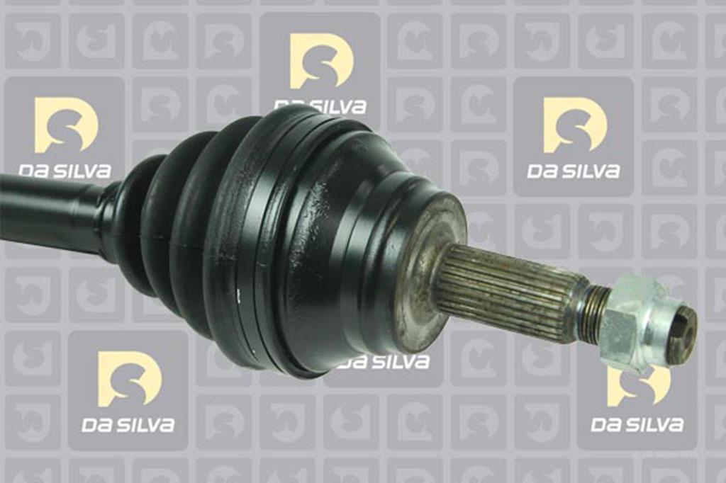 Cardan DA SILVA S.A.S. 99026T