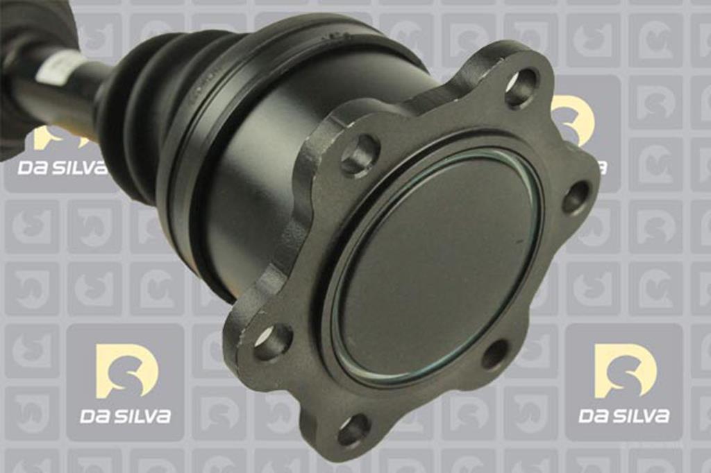 Cardan DA SILVA S.A.S. 99049T