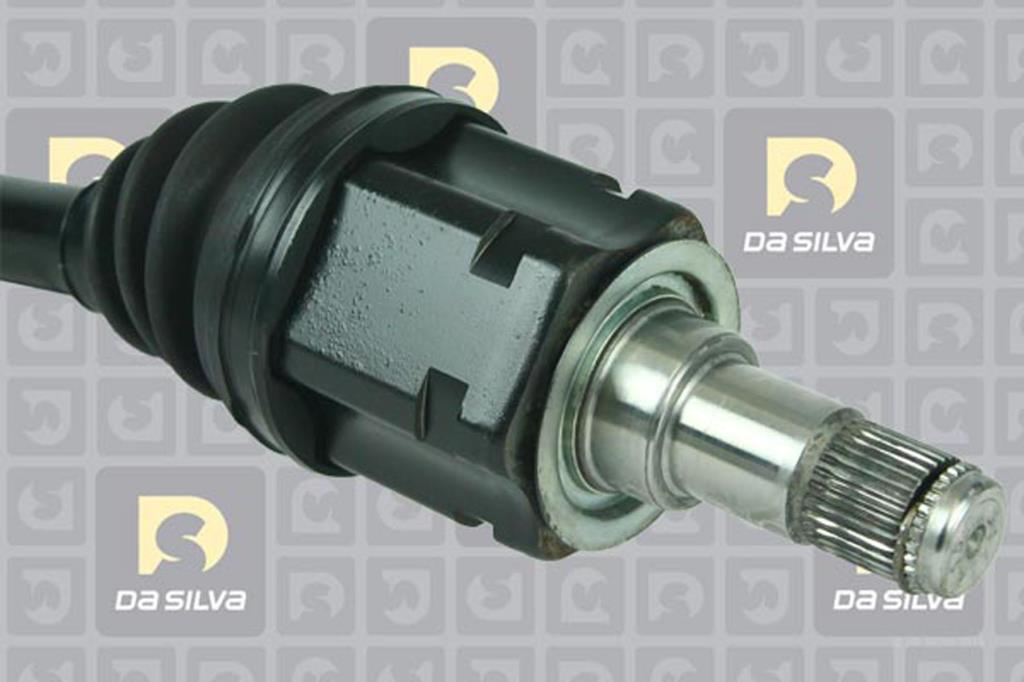 Cardan DA SILVA S.A.S. 99050T