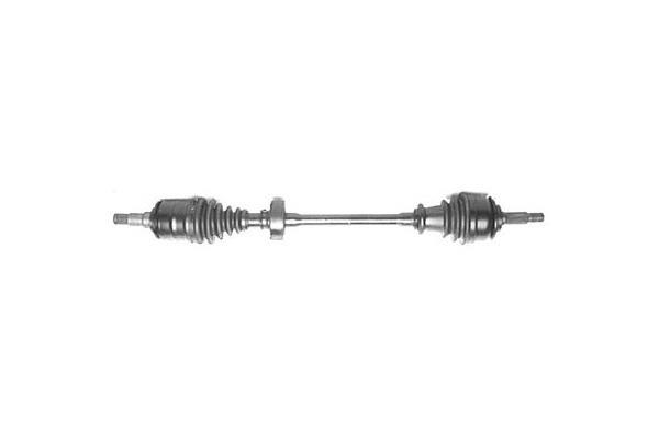 Cardan DA SILVA S.A.S. 99061T Cardan DA SILVA S.A.S. 99061T