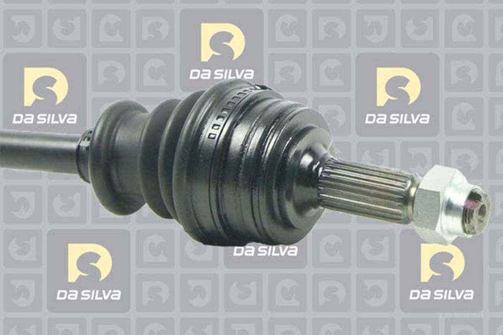 Cardan DA SILVA S.A.S. 99101T