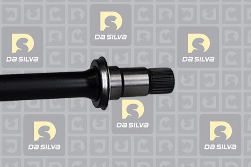 Cardan DA SILVA S.A.S. 99125AT