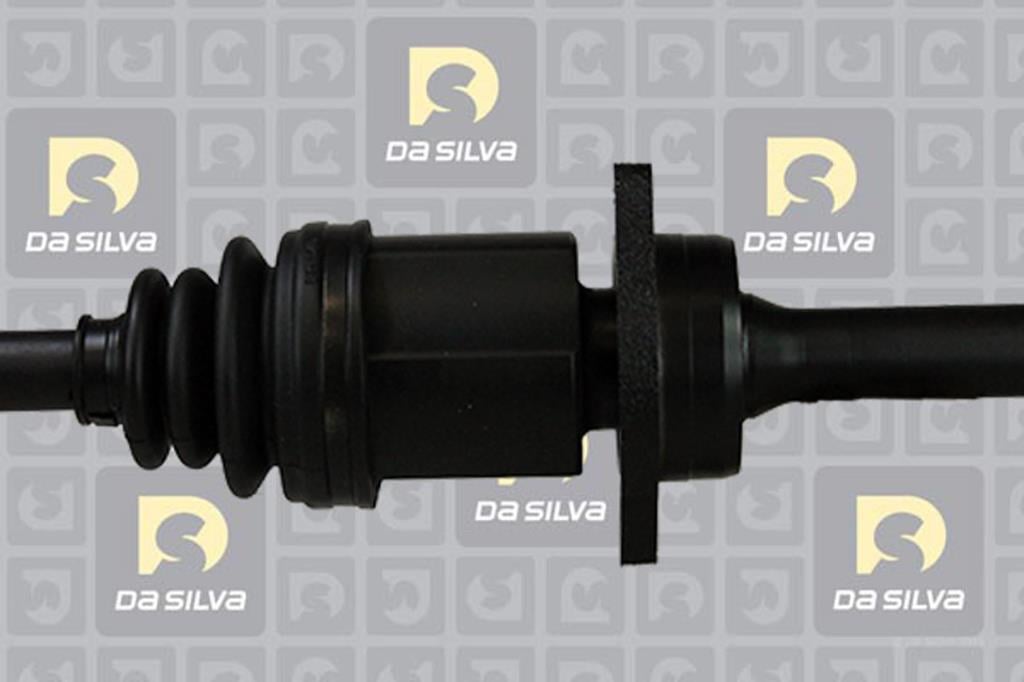 Cardan DA SILVA S.A.S. 99125AT