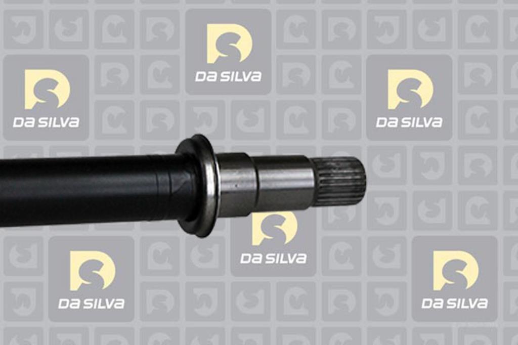 Cardã DA SILVA S.A.S. 99134T
