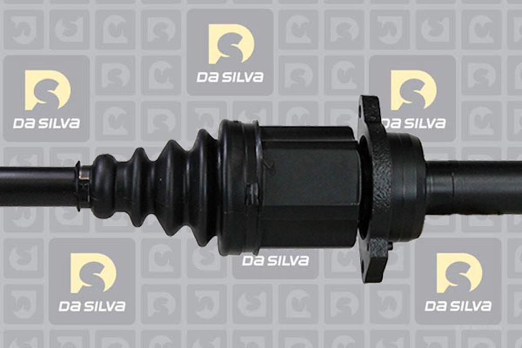 Cardã DA SILVA S.A.S. 99134T