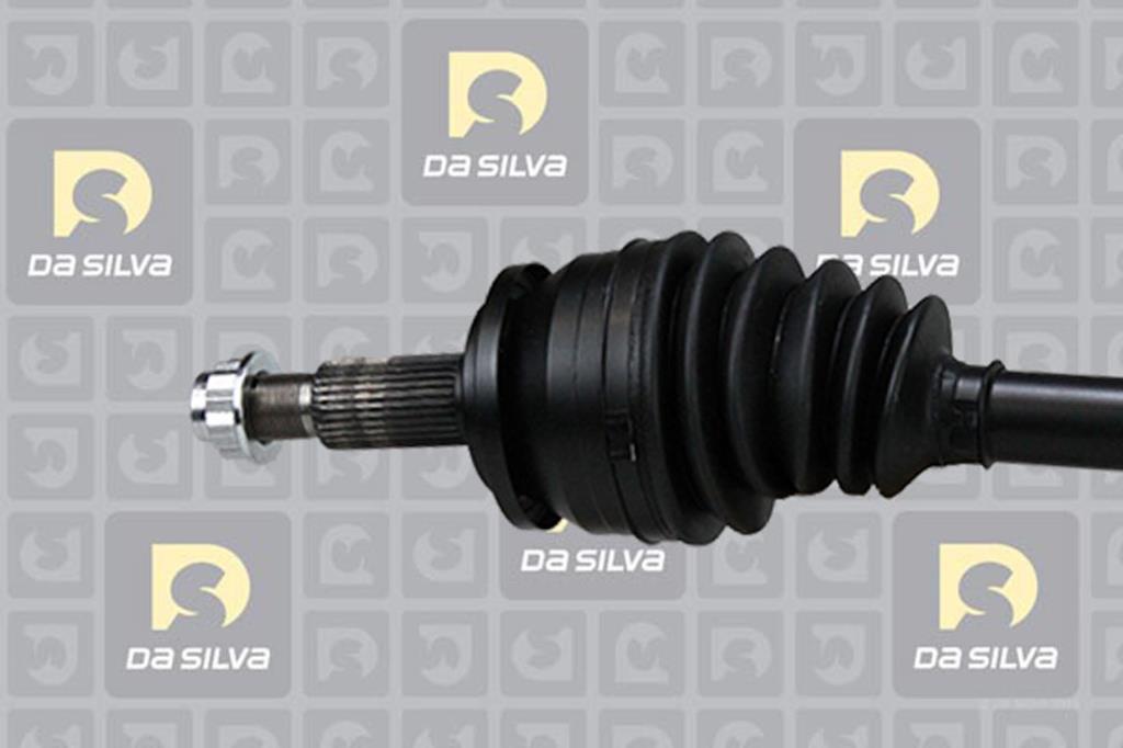 Cardã DA SILVA S.A.S. 99134T