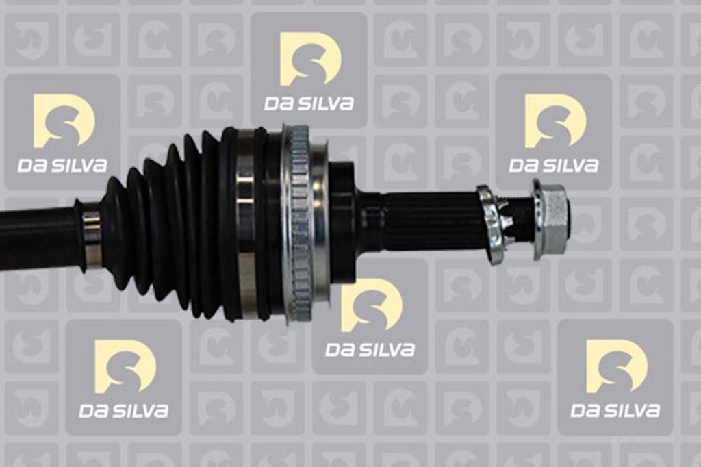 Cardan DA SILVA S.A.S. 99144AT