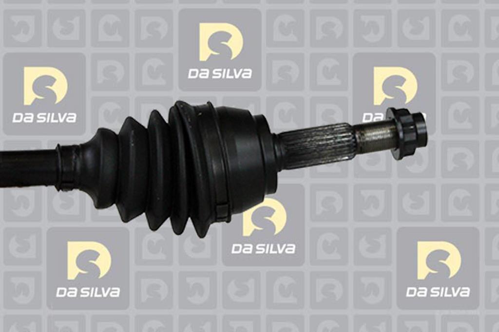 Cardan DA SILVA S.A.S. 99147T