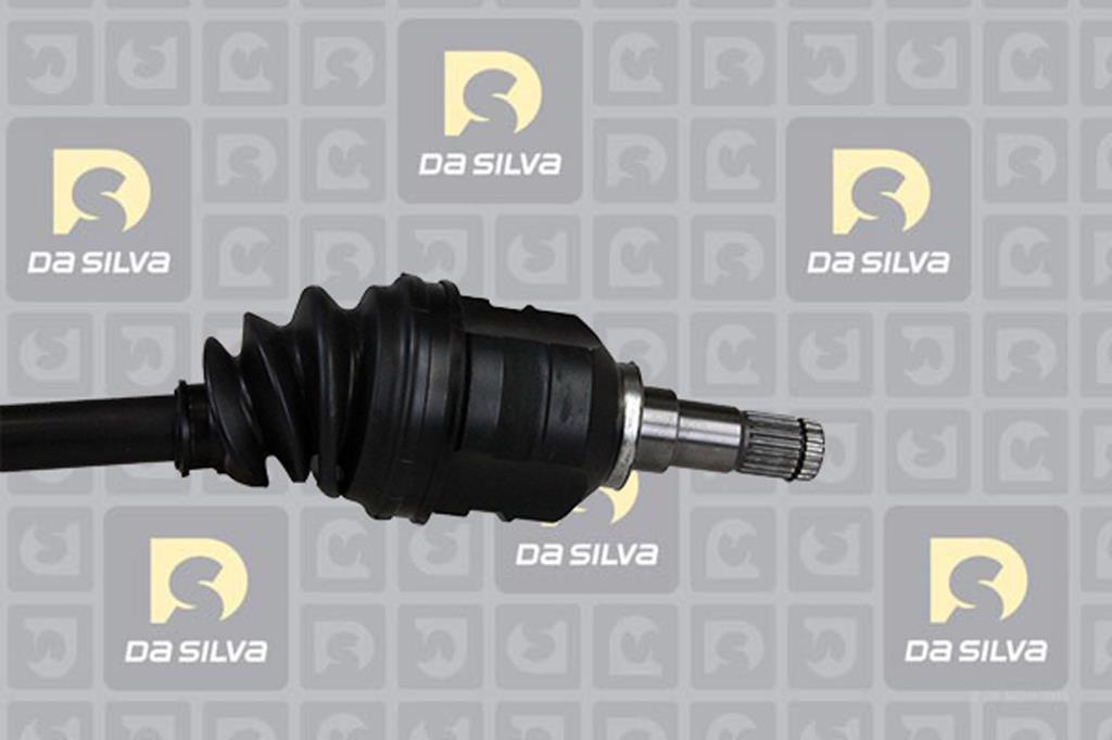 Cardan DA SILVA S.A.S. 99164AT