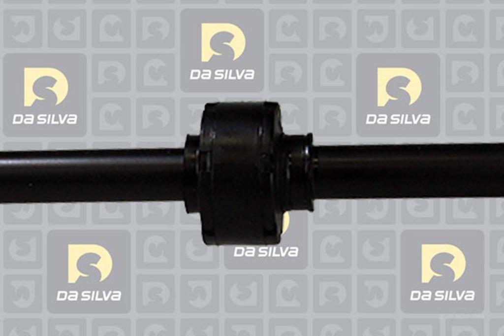 Cardan DA SILVA S.A.S. 99164AT