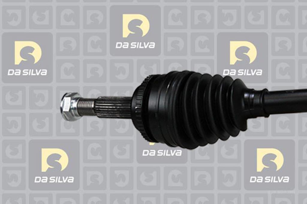 Cardan DA SILVA S.A.S. 99164AT