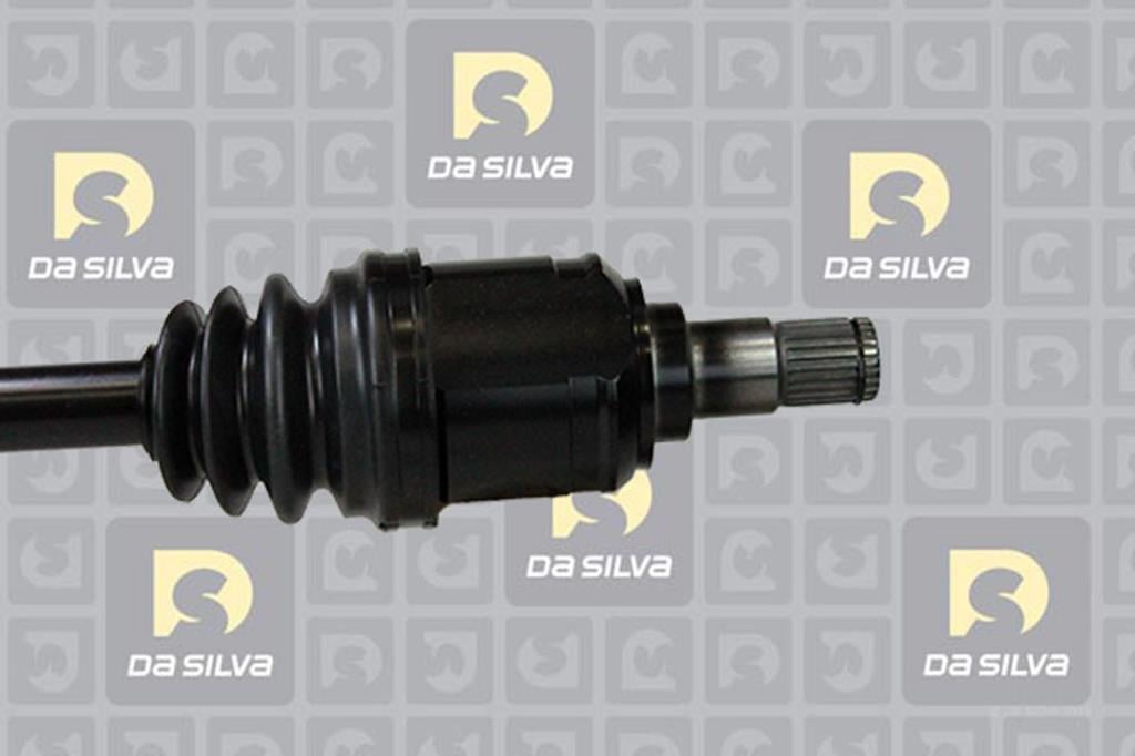 Cardã DA SILVA S.A.S. 99166T