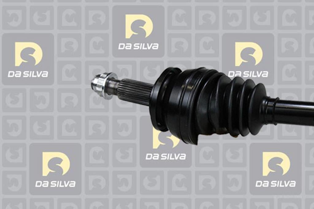 Cardã DA SILVA S.A.S. 99166T