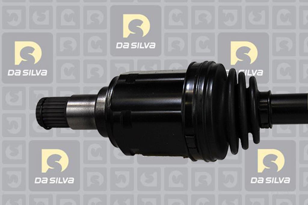 Cardan DA SILVA S.A.S. 99188T