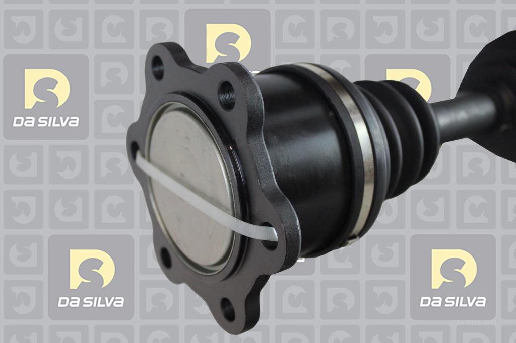 Cardan DA SILVA S.A.S. 99216T