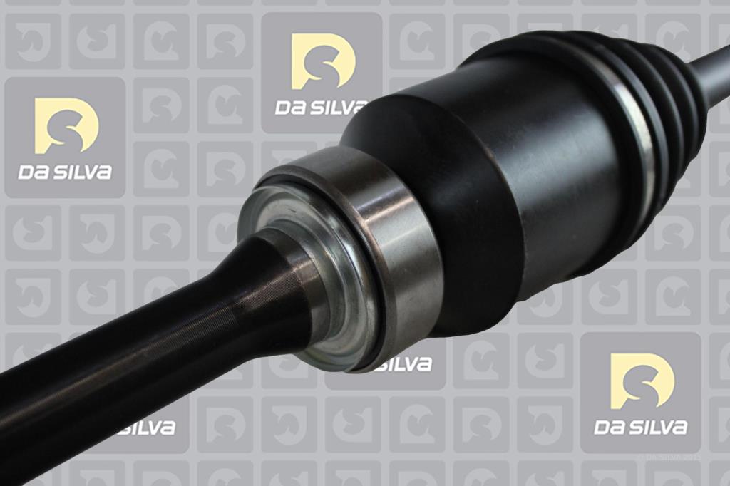 Cardan DA SILVA S.A.S. 99318AT