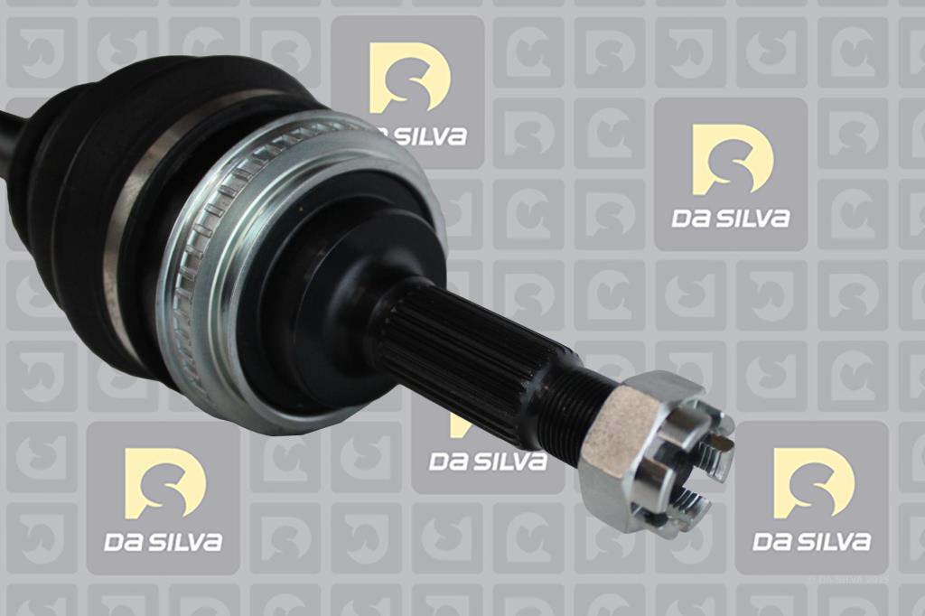 Cardan DA SILVA S.A.S. 99318AT
