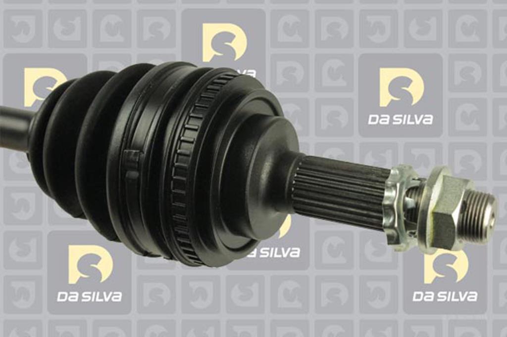Cardan DA SILVA S.A.S. 99319AT