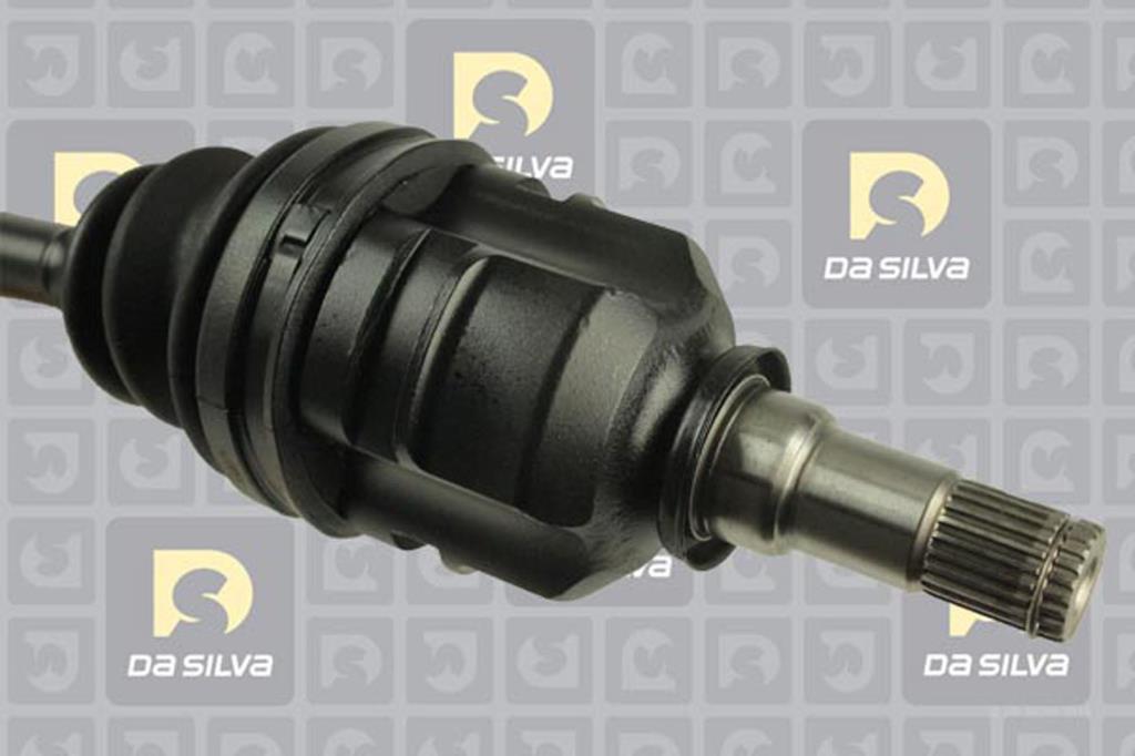 Cardan DA SILVA S.A.S. 99319AT