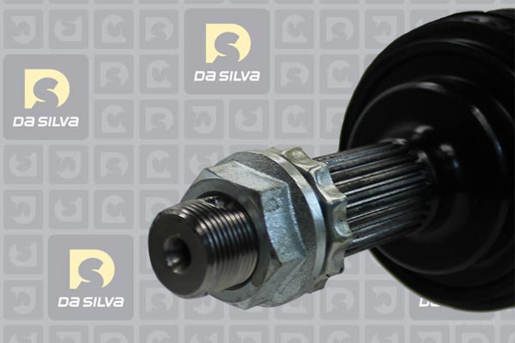 Cardan DA SILVA S.A.S. 99321AT