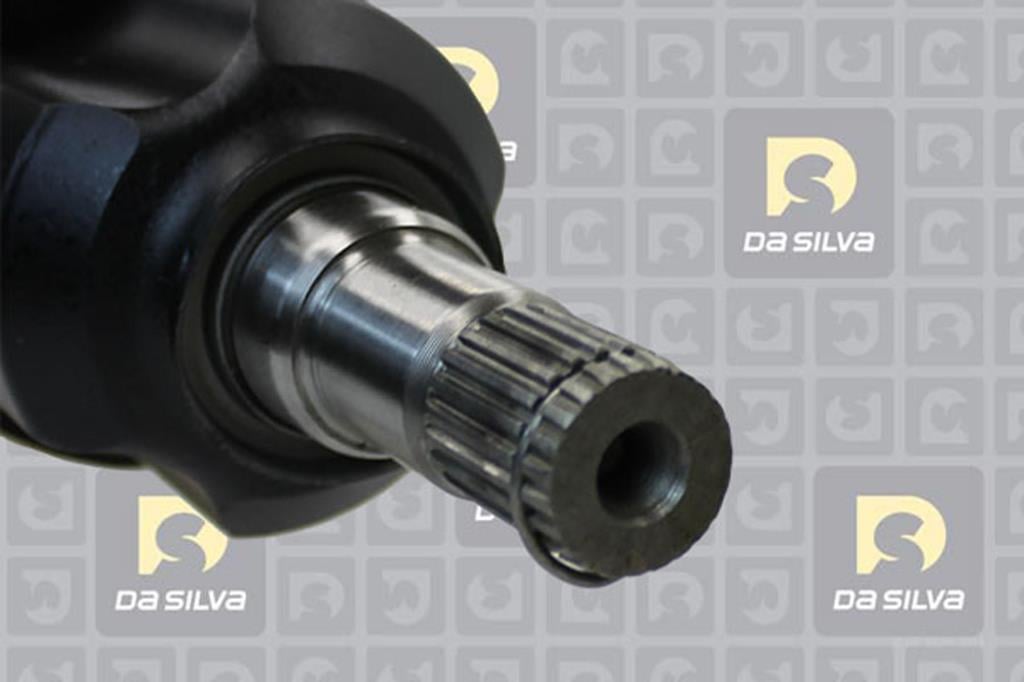 Cardan DA SILVA S.A.S. 99321AT