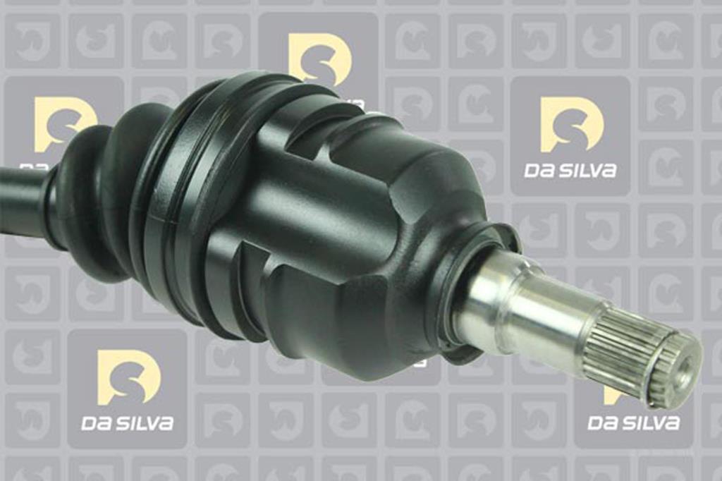 Cardã DA SILVA S.A.S. 99322AT