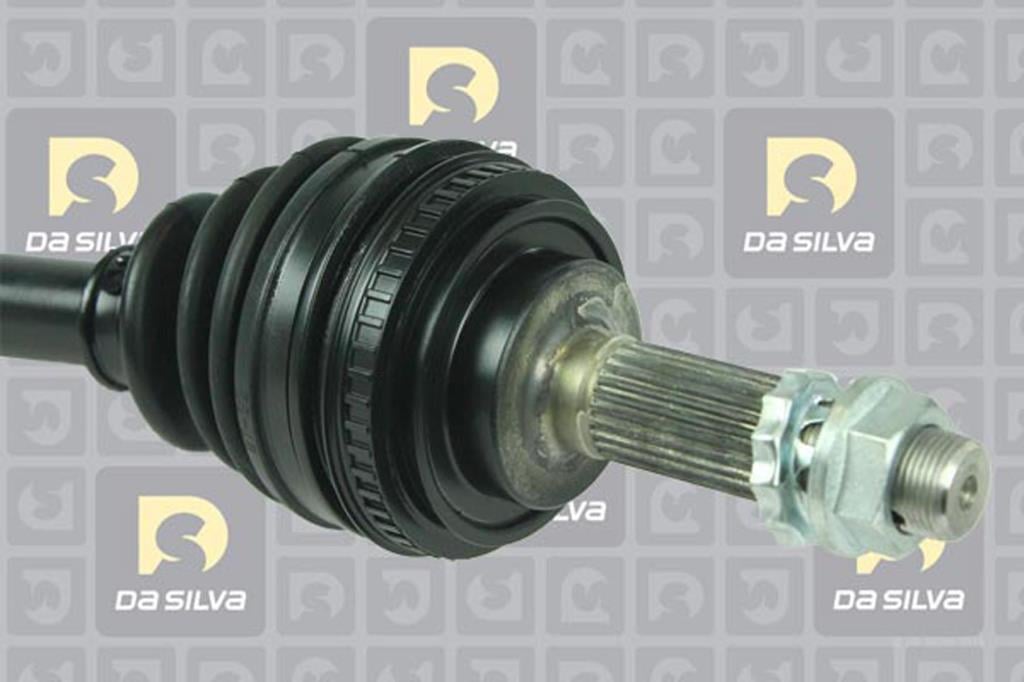 Cardã DA SILVA S.A.S. 99322AT