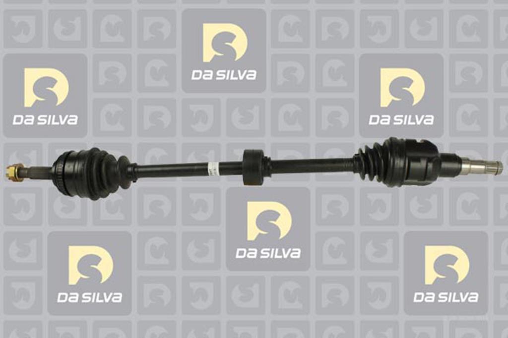 Cardan DA SILVA S.A.S. 99332AT