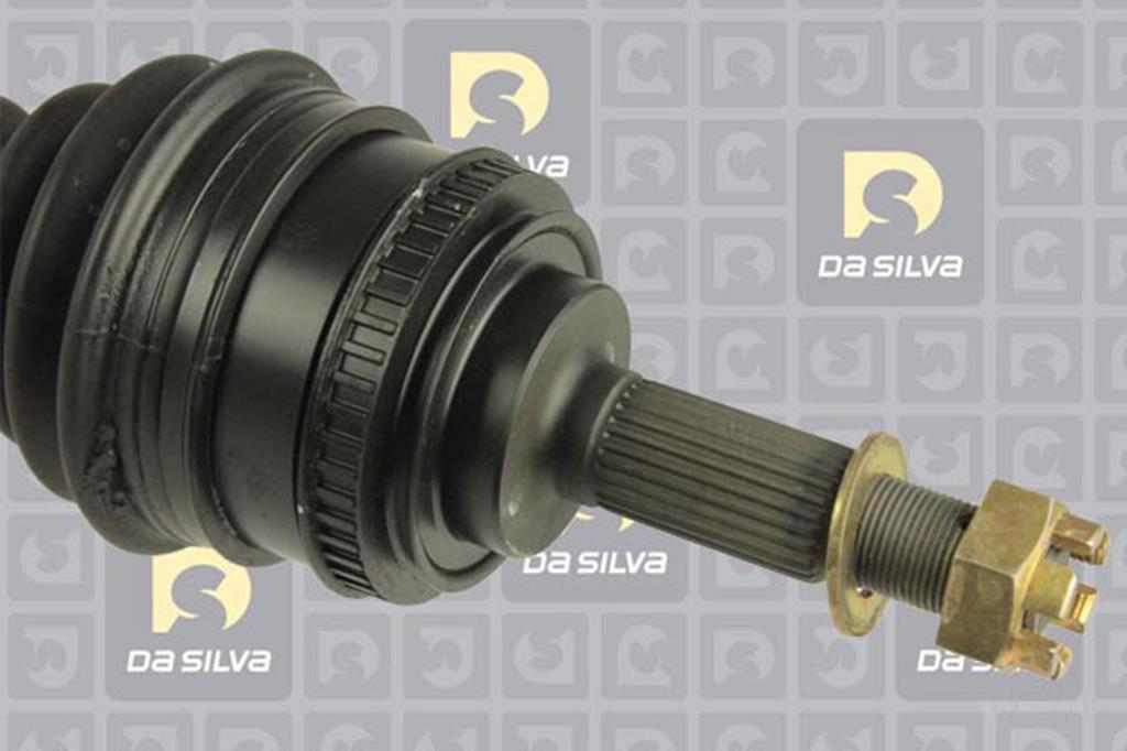 Cardan DA SILVA S.A.S. 99332AT